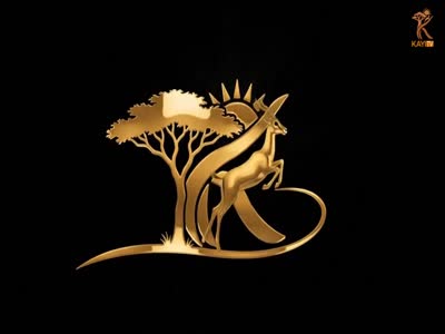 Kayi TV